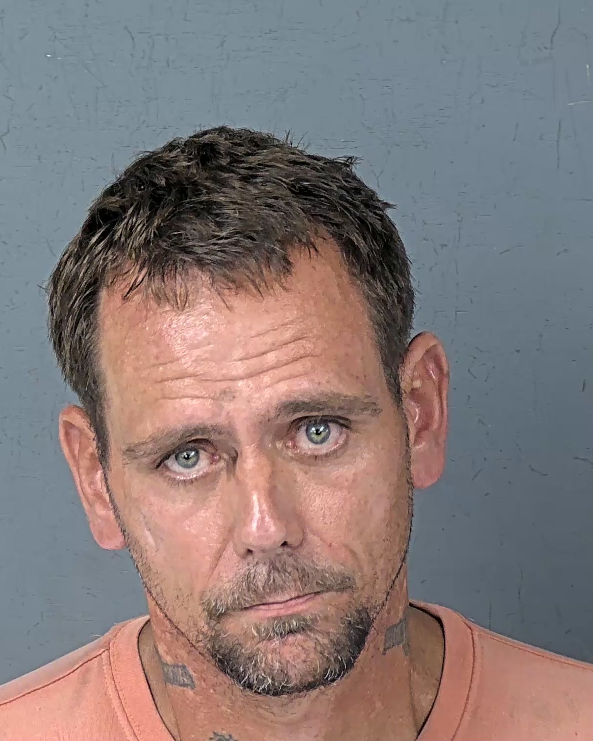 Booking photo of David William Jr Gibbs