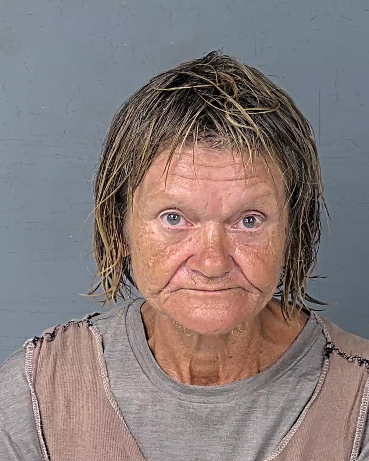 Booking photo of Barbara Staines Passerin