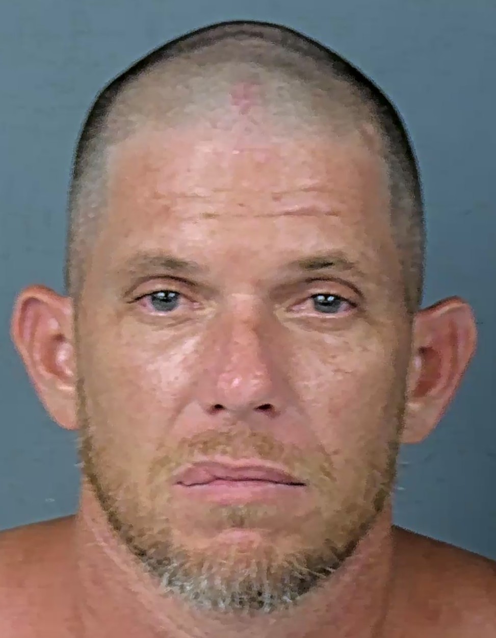 Booking photo of Richard Louis Davis