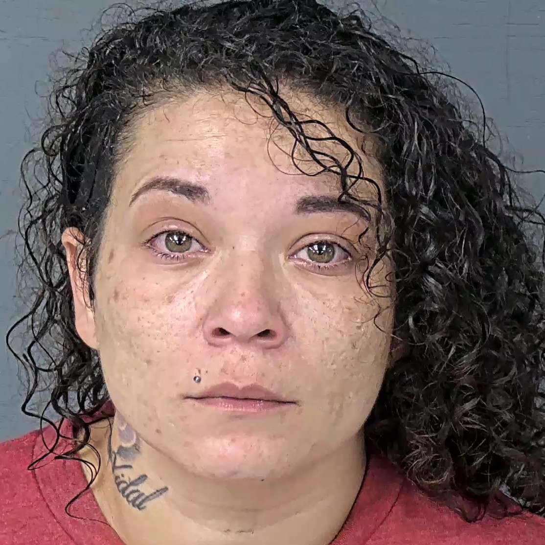 Booking photo of Rosa Marie Torres