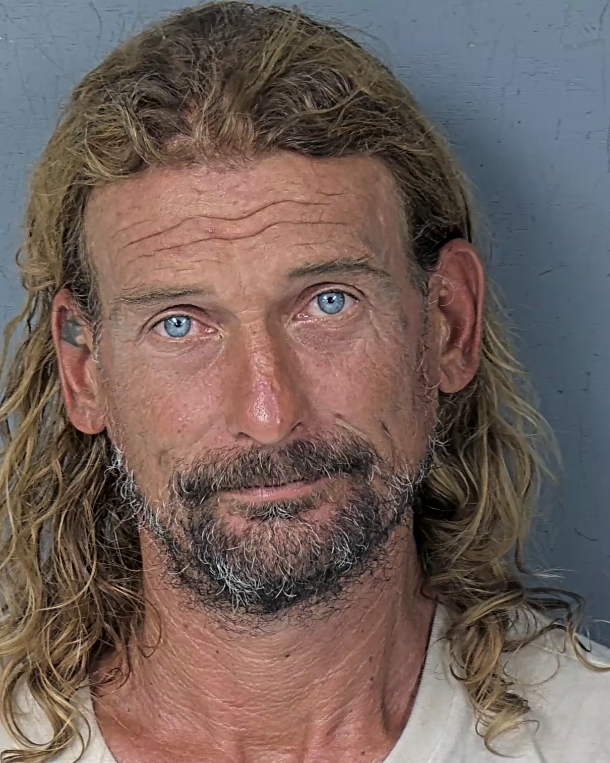 Booking photo of Paul Amory Ii Davison
