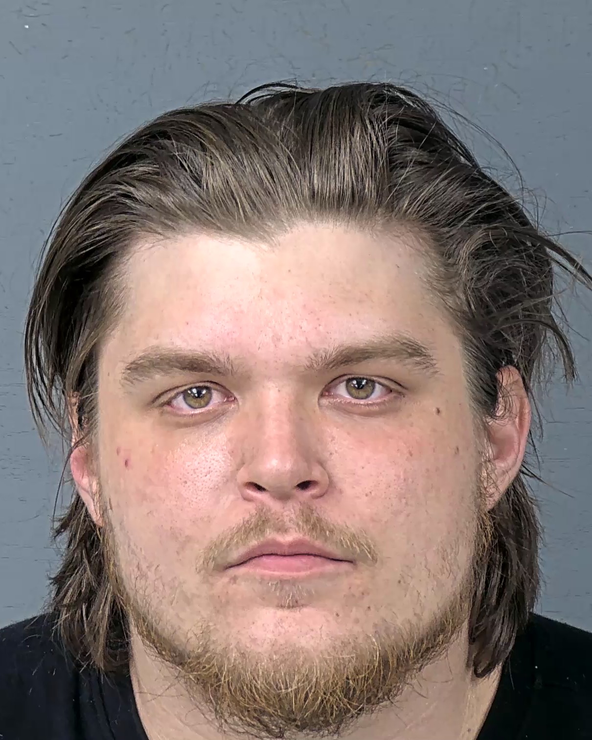 Booking photo of Taylor A Mcwilliams