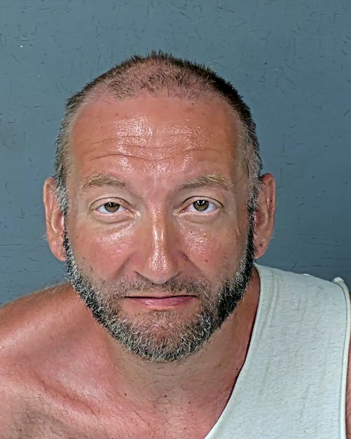 Booking photo of Richard Alan Jr Haynick