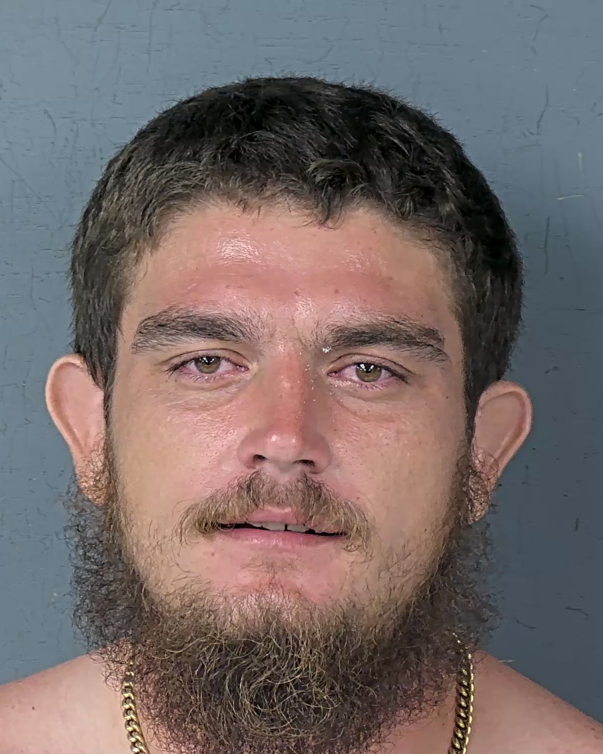 Booking photo of Willie Matthew Jr Honea