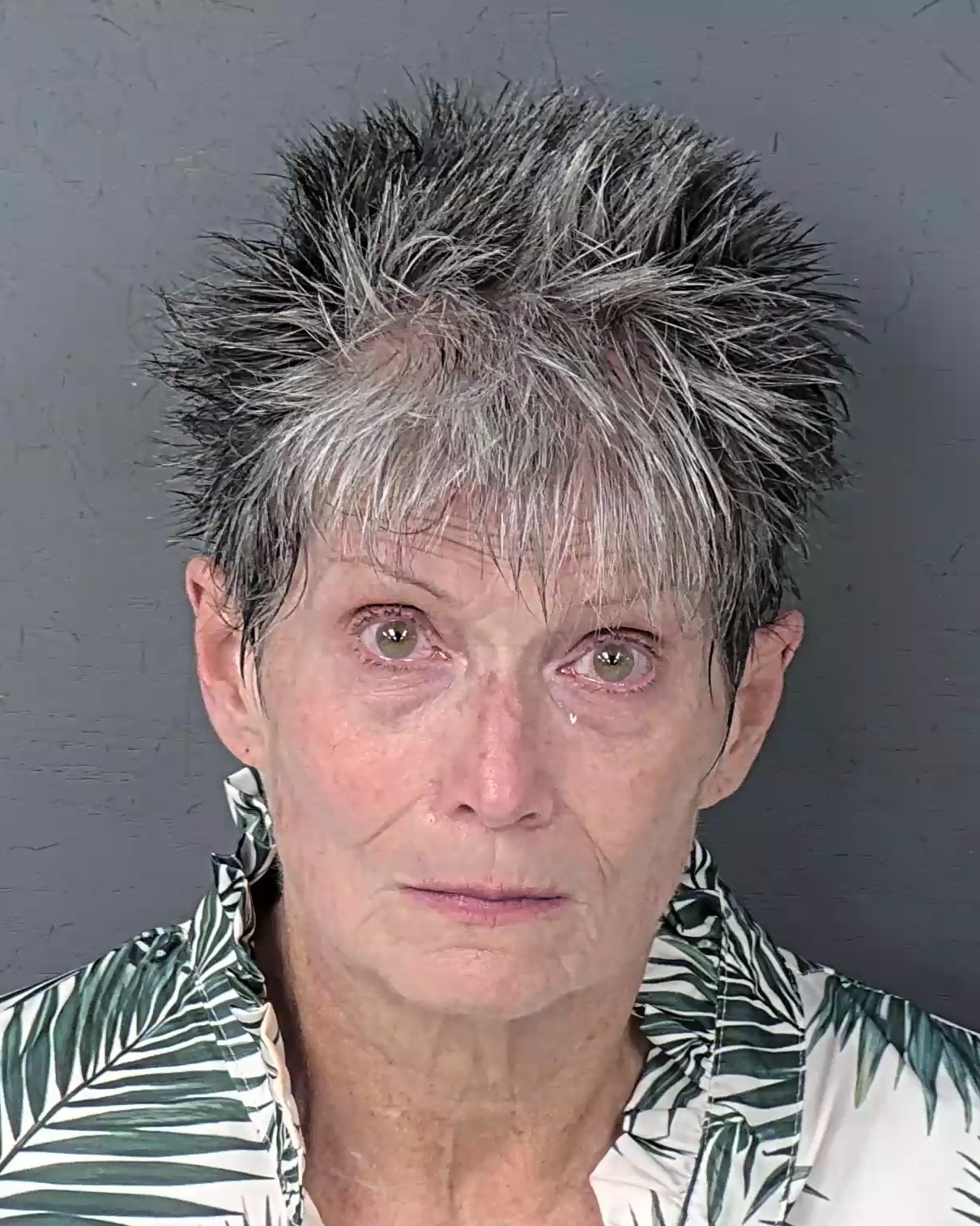Booking photo of Darlene Annette Hatfield