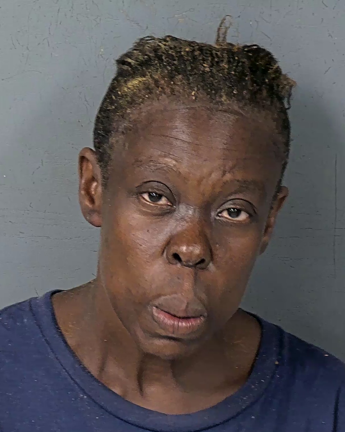 Booking photo of Sona Alexandre Louis Jean