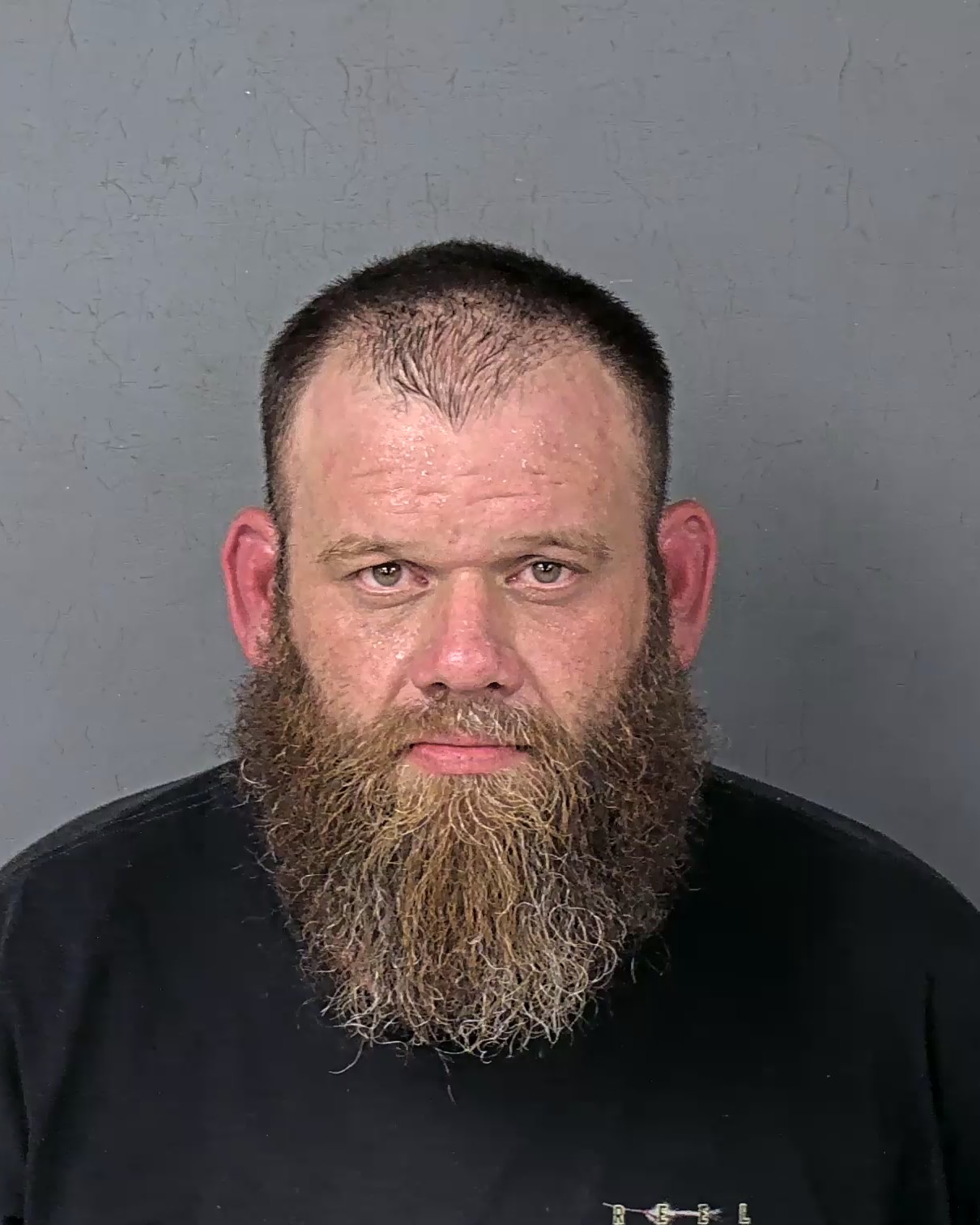 Booking photo of Derek Charles Addison