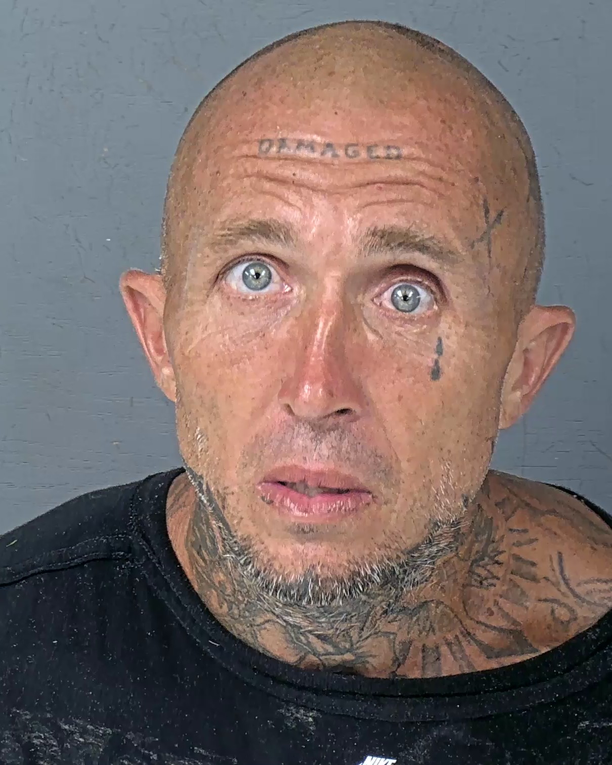 Booking photo of Adam Joseph Schultz