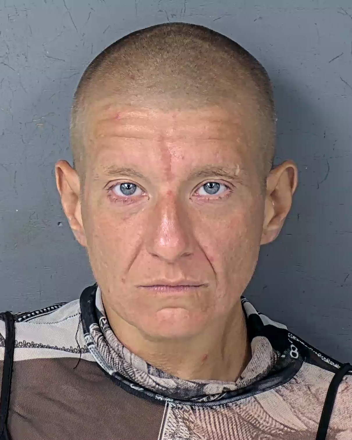 Booking photo of Whitney Angelica Dawn Bodtmann