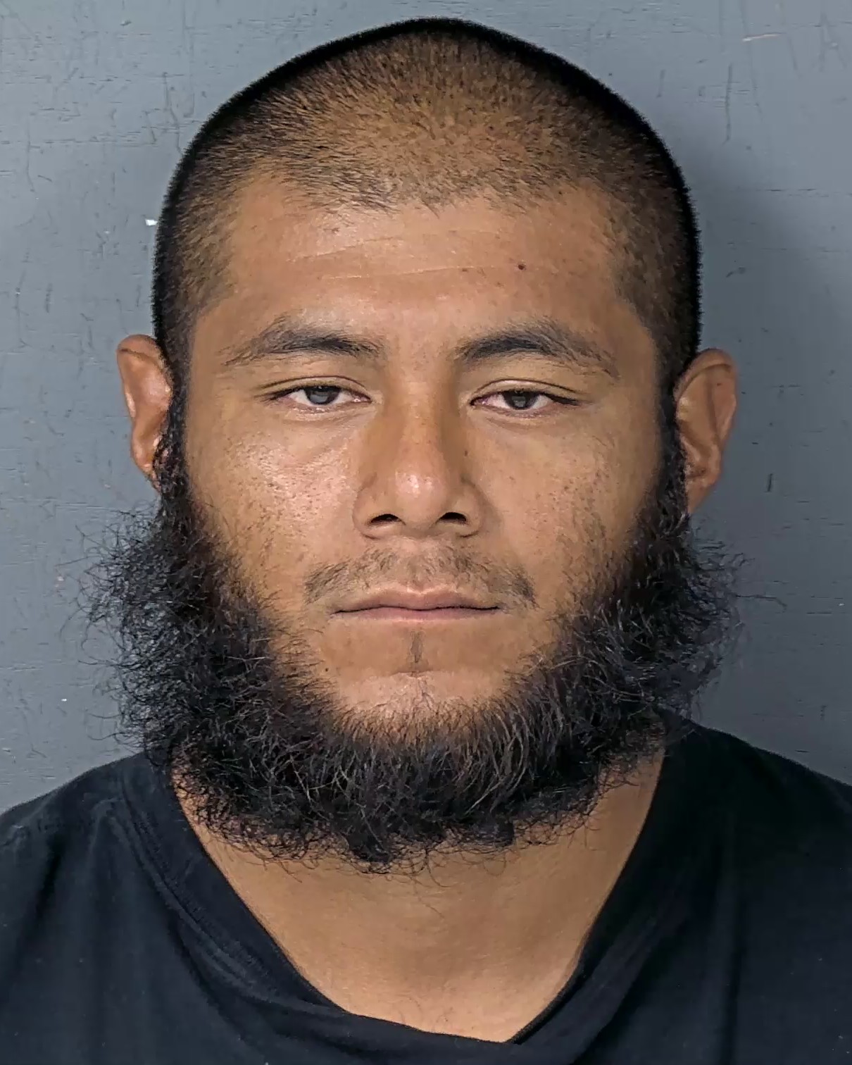 Booking photo of Pedro Jr Najera