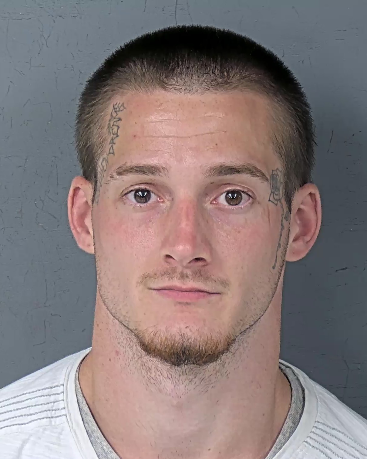 Booking photo of Andrew James Martin