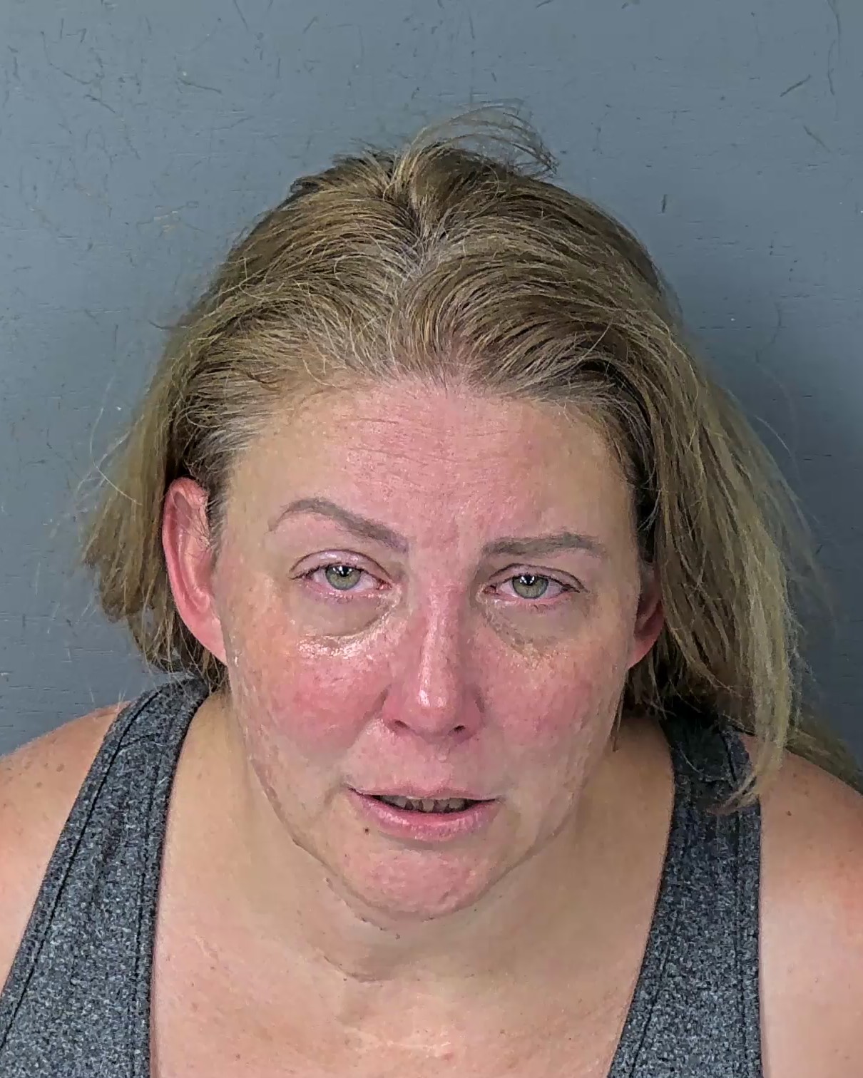 Booking photo of Mary Ann Higgins