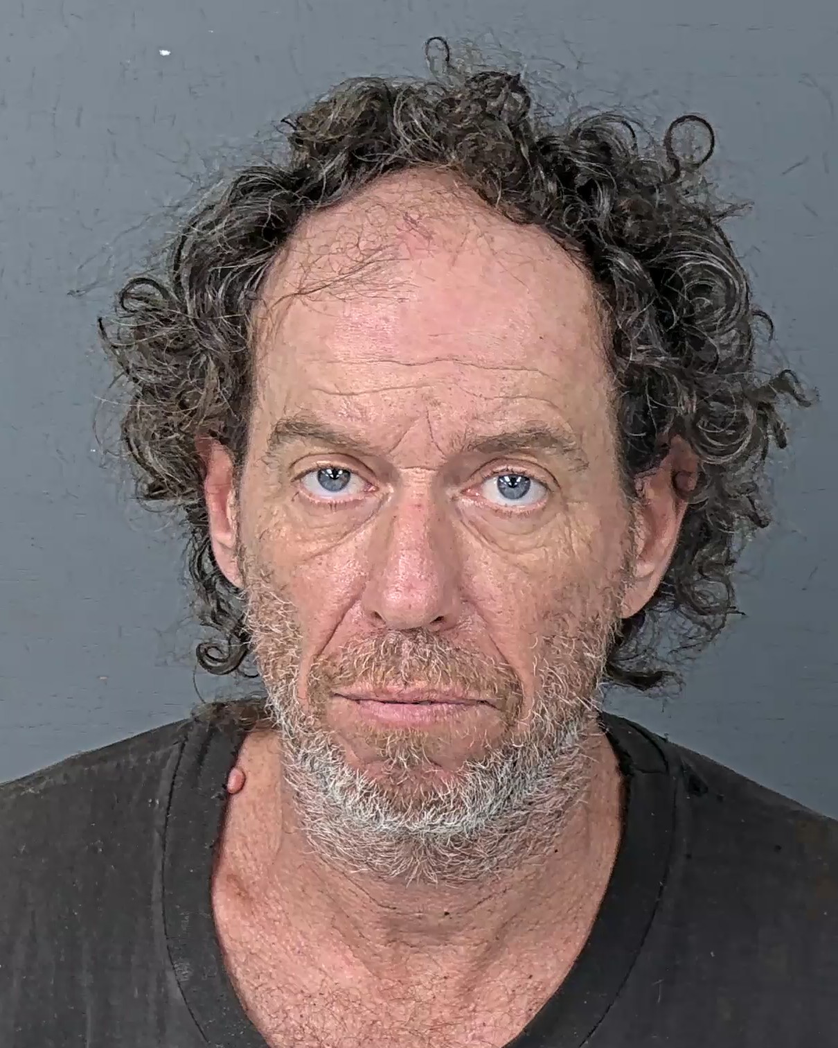 Booking photo of Robert Lewis Thibodeau