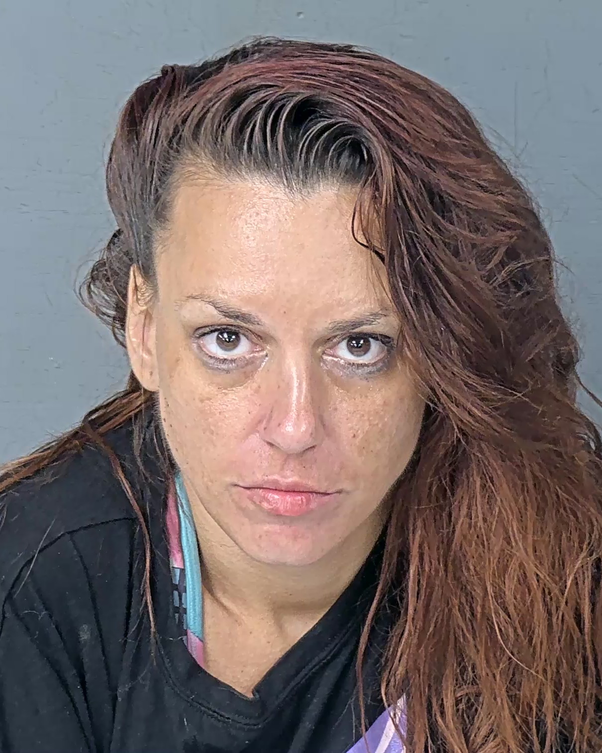 Booking photo of Ashlee Christina Miller