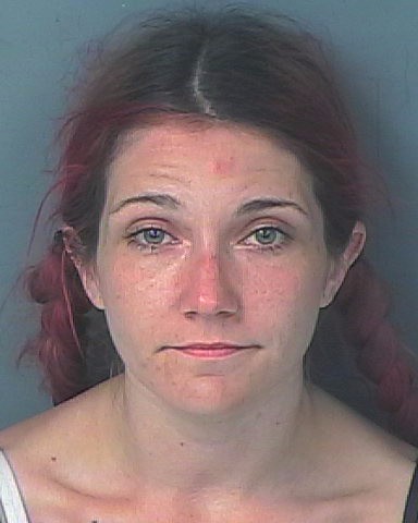 Booking photo of Amy Elizabeth Mc Donald