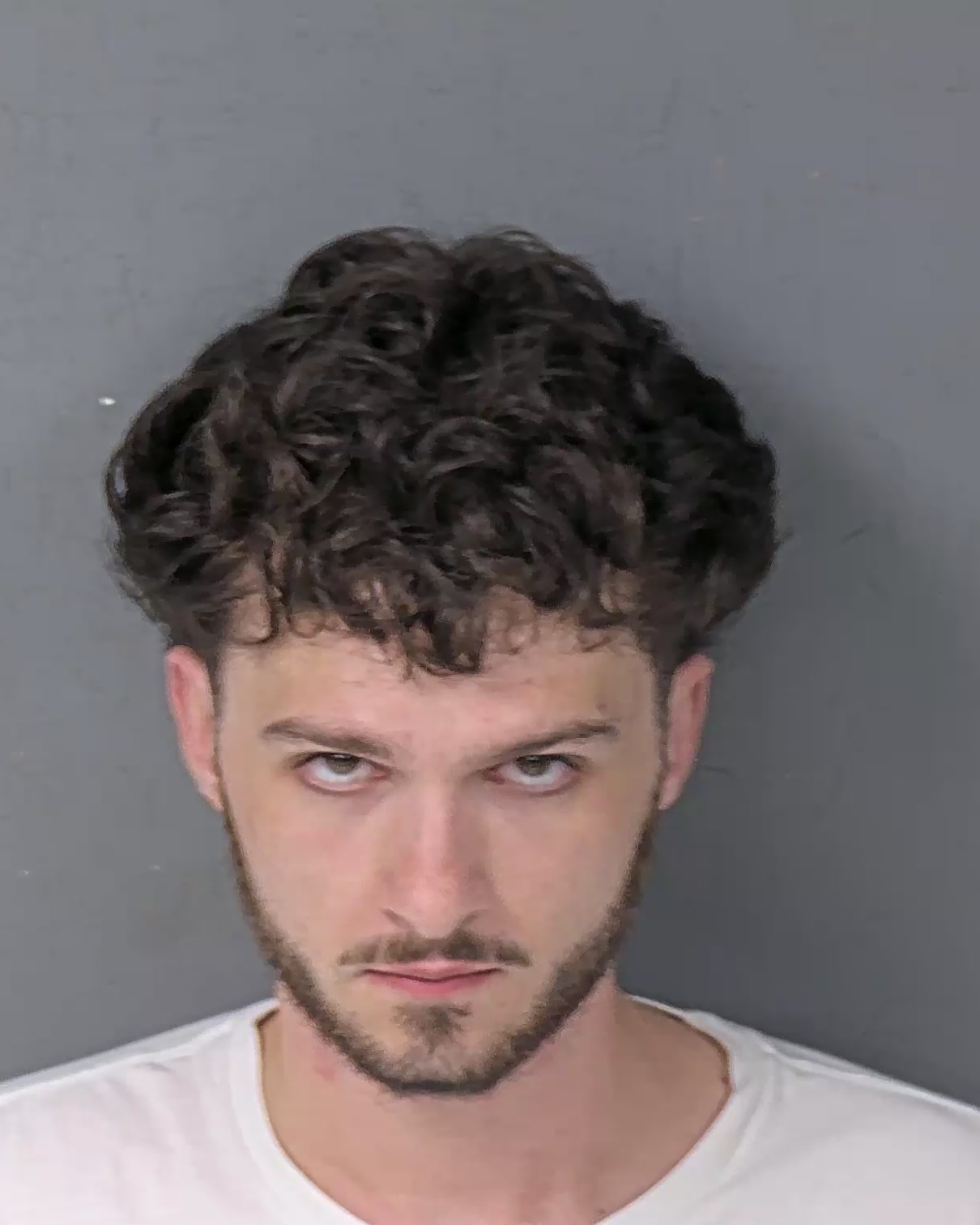 Booking photo of Nikolaos Iraklis Hatzopoulos