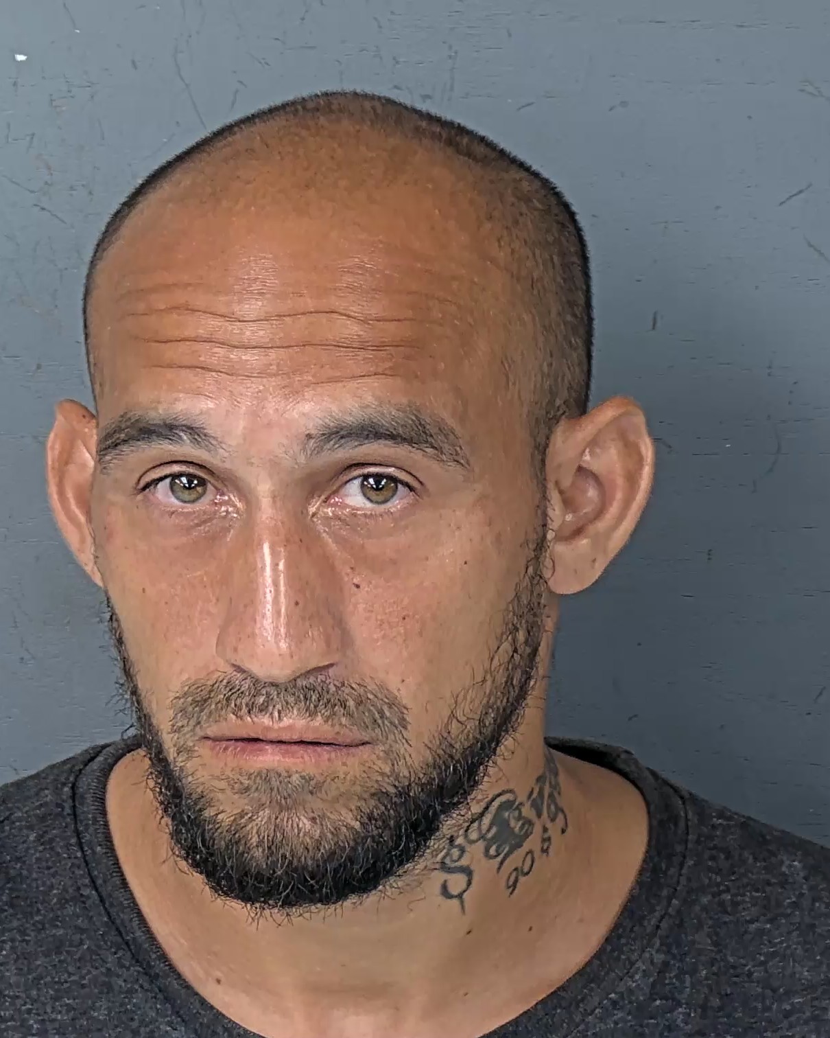 Booking photo of Dameon Luis Torres