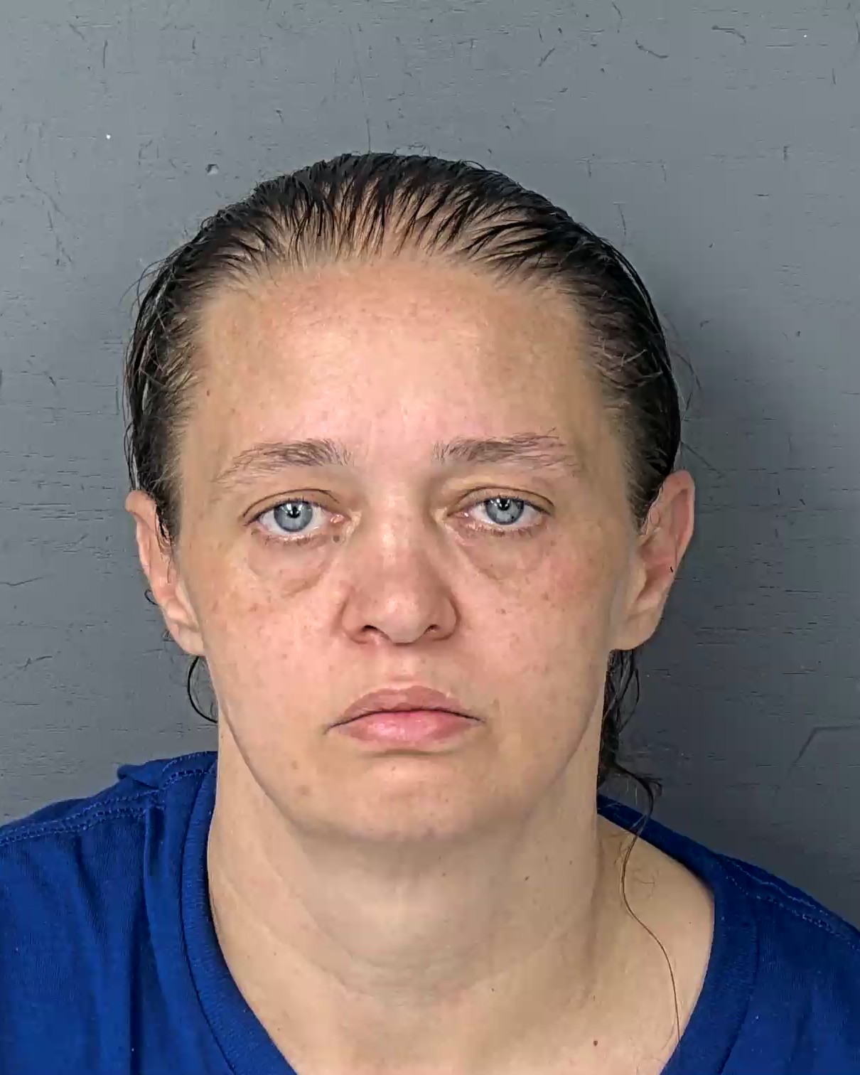 Booking photo of Amanda Michelle Lee Hampton