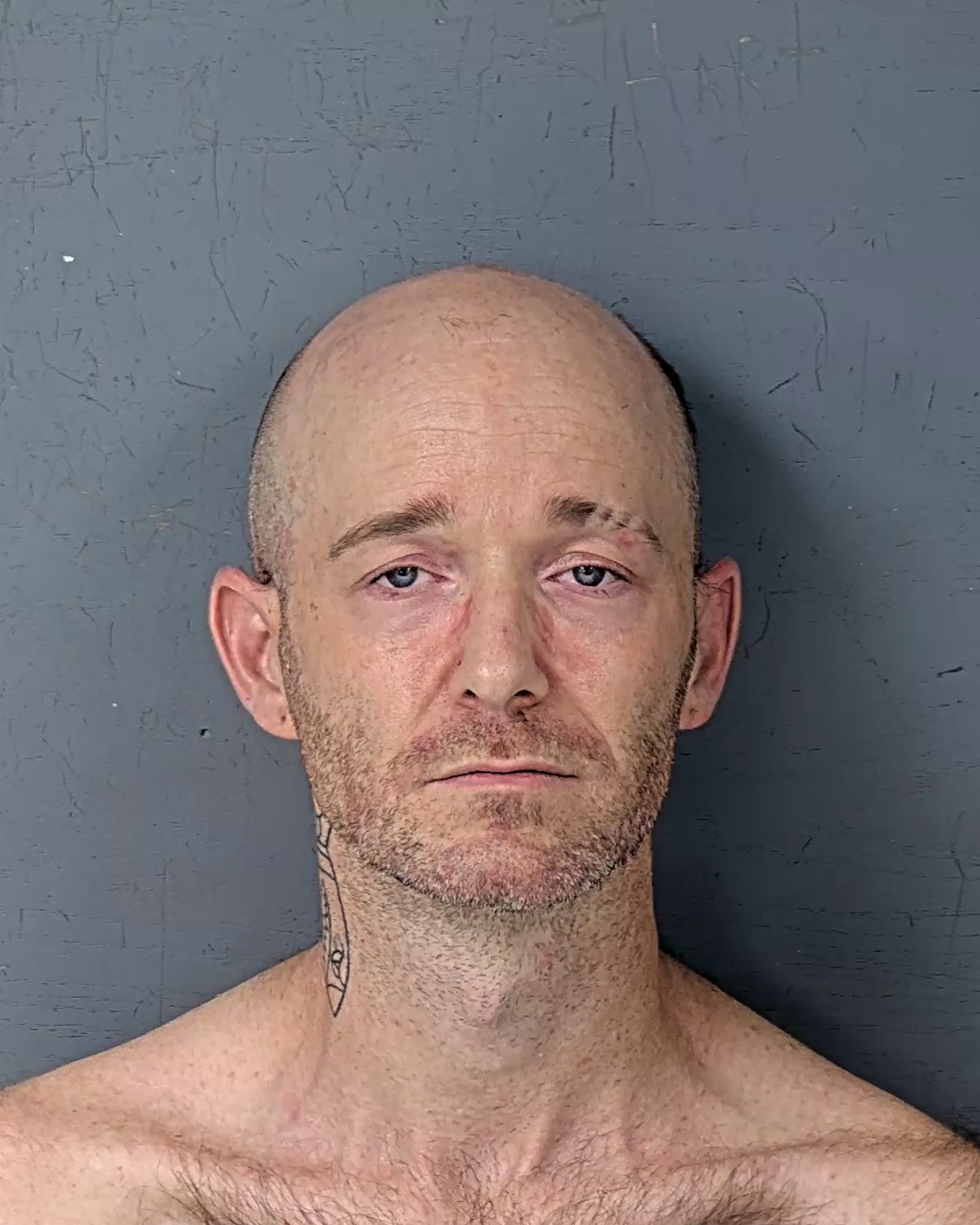 Booking photo of Steven Joseph Sheehan