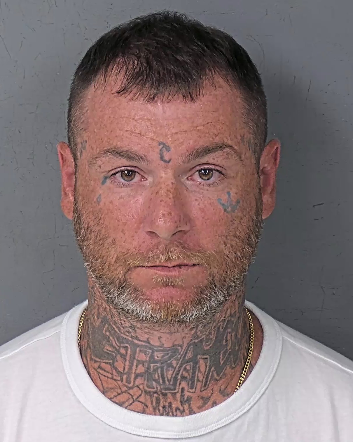 Booking photo of Kenneth Steven Trout