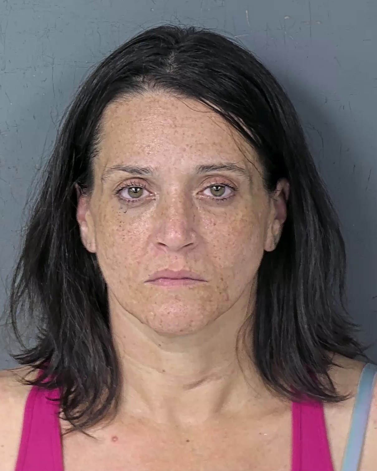 Booking photo of Vicki Lynn Germino