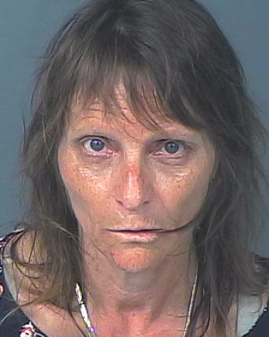 Jill Katherine Leverich booking photo
