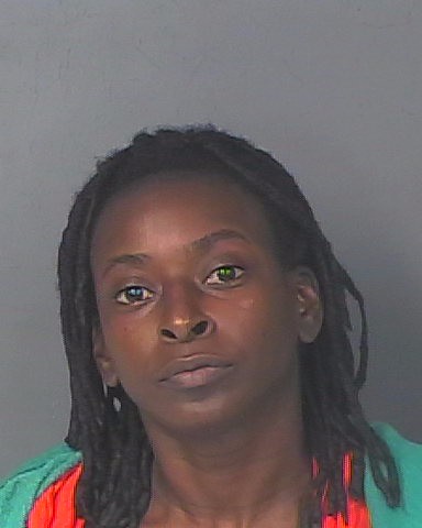 Zipporah Fogle booking photo