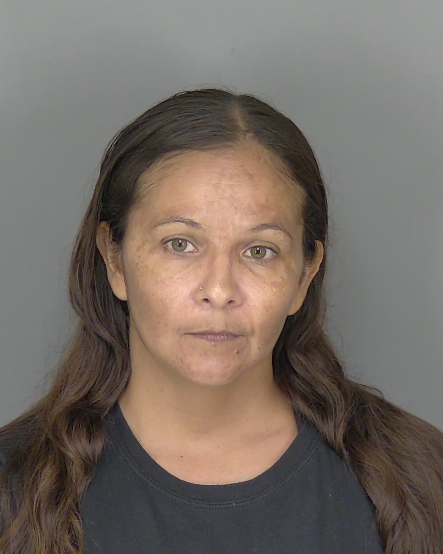 Booking photo of Marisela Lugo