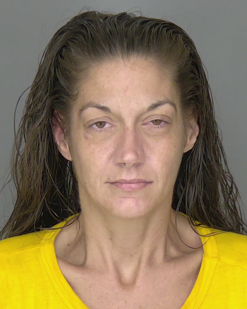 Amanda Dowd booking photo
