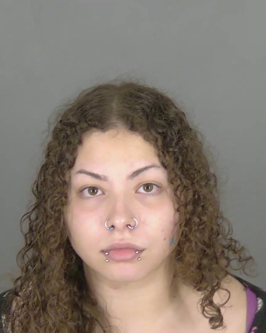 Booking photo of Nancy Pritchett