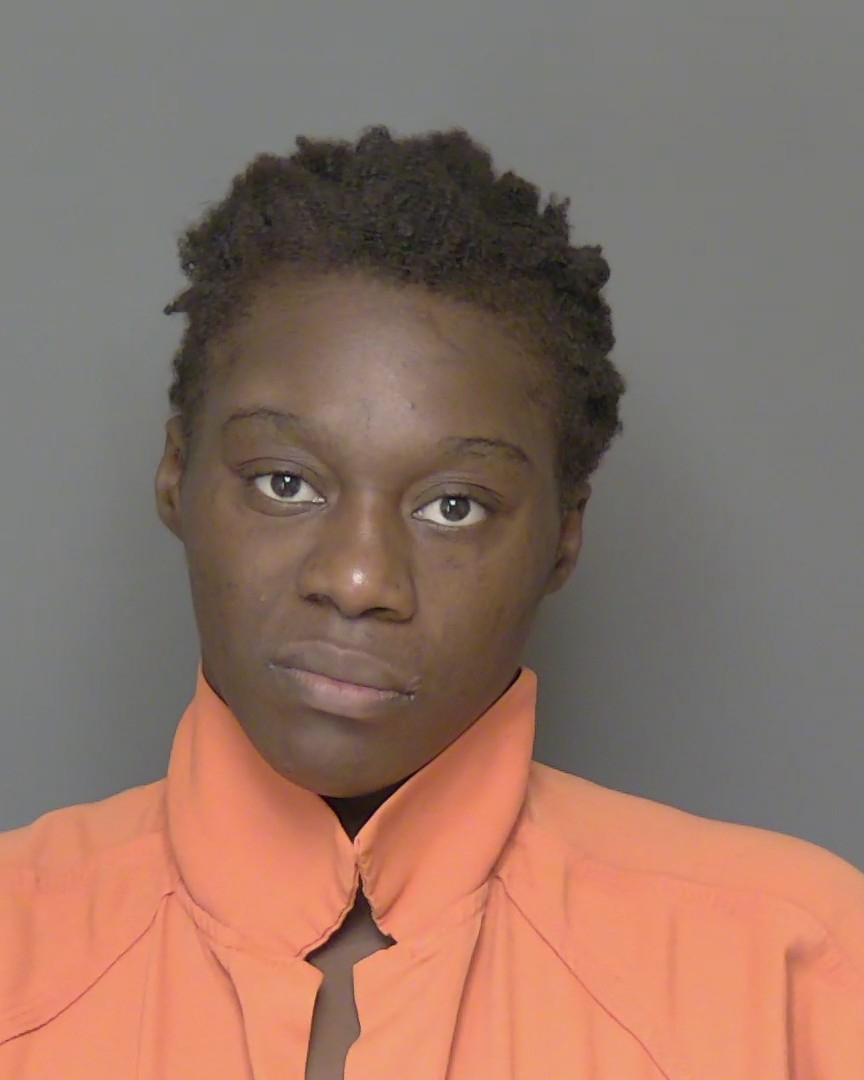Booking photo of Tabbatha Johnson
