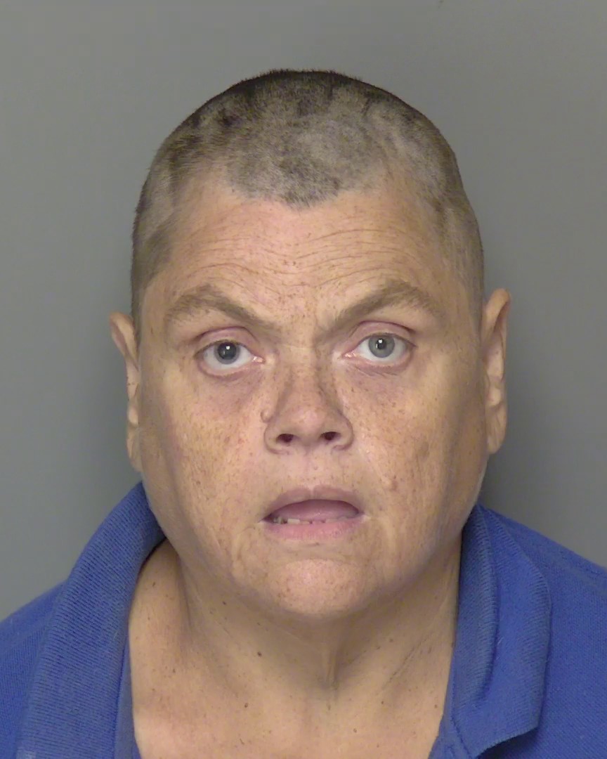 Booking photo of Brenda Gibson