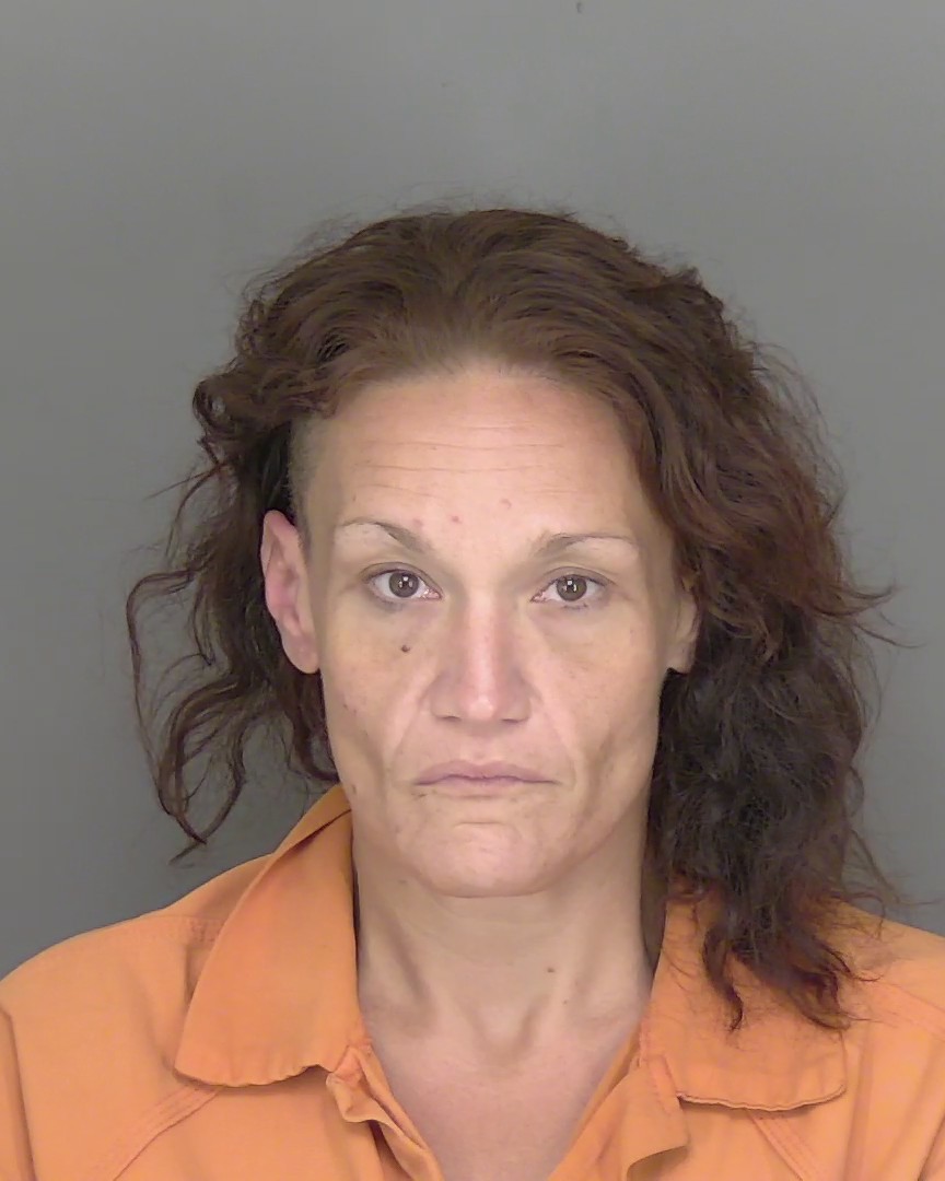Booking photo of Danielle Meyers
