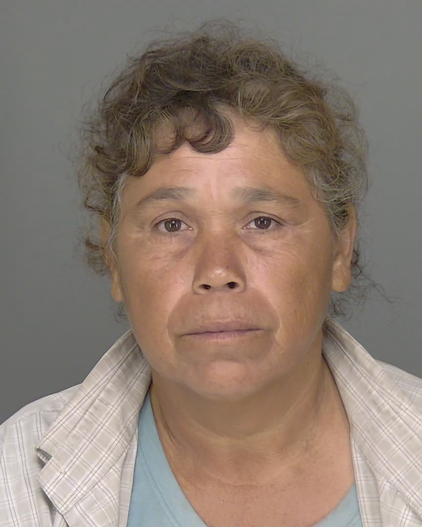 Booking photo of Guadalupe Benitez Dominguez