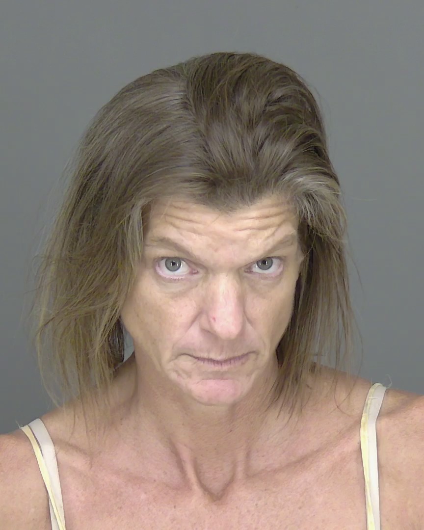 Booking photo of Heather Welsh