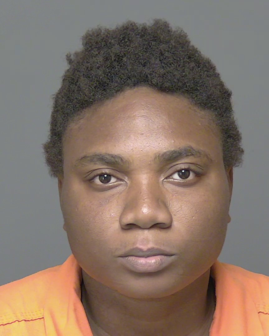 Booking photo of Sagine Delva