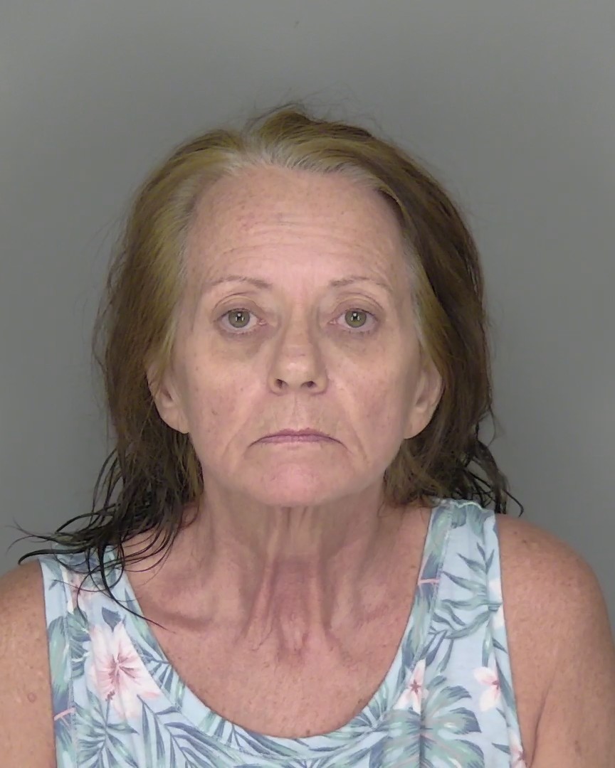 Melinda Gambino booking photo
