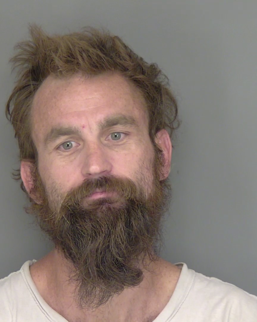 Booking photo of Shaanan Spiegel