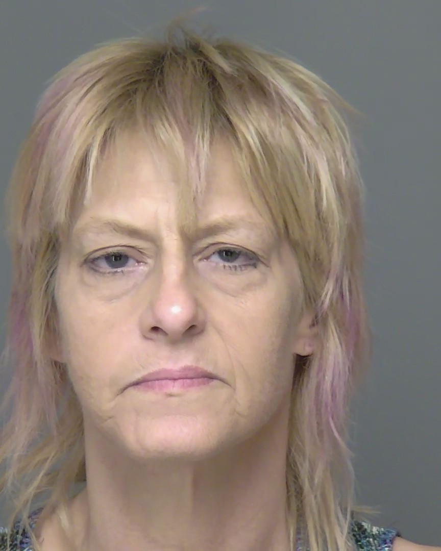 Jodi Fountain booking photo