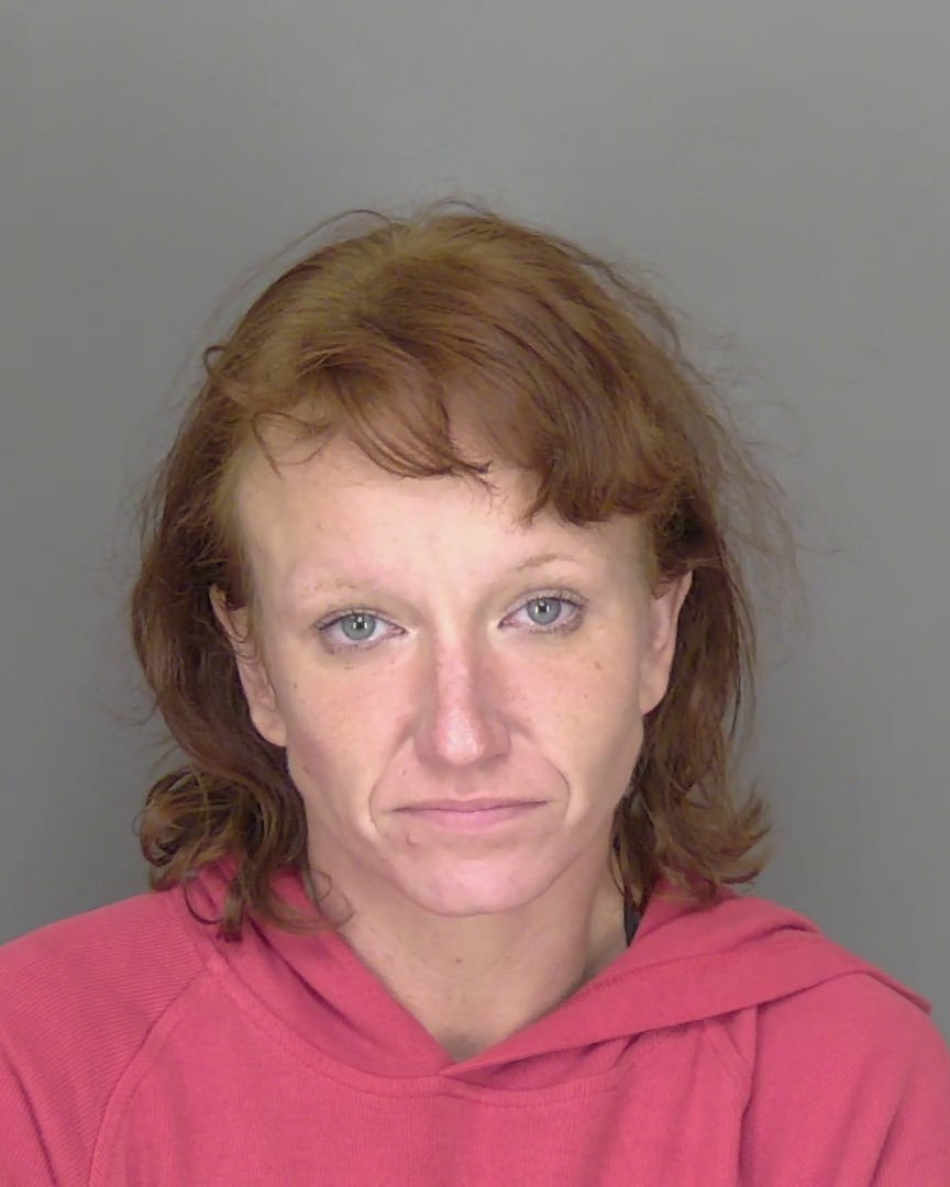 Booking photo of Stephanie Robinson