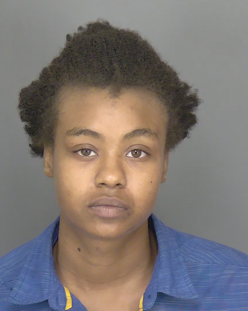 Booking photo of Erica Capers