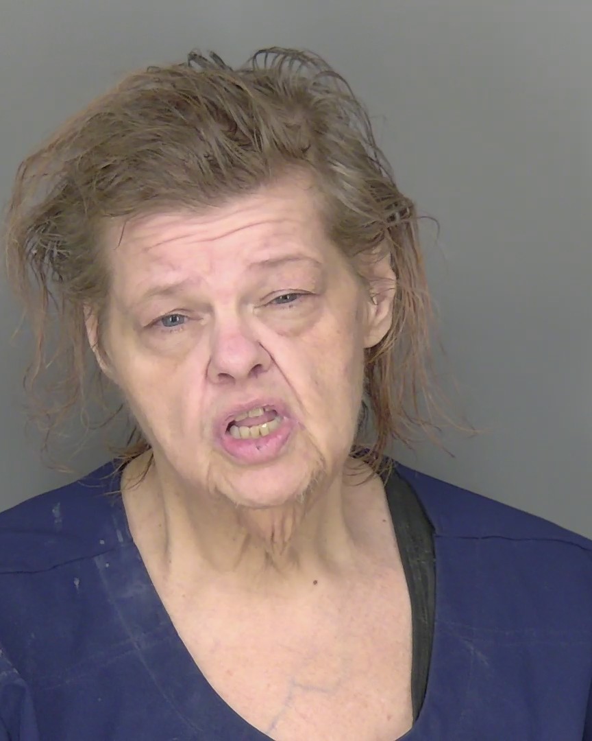 Booking photo of Elizabeth Baranyai