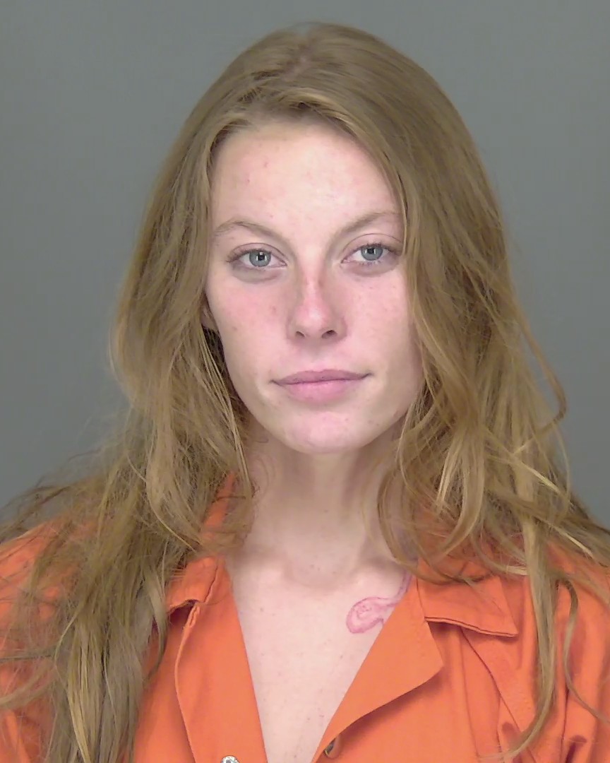 Booking photo of Ani Ficco