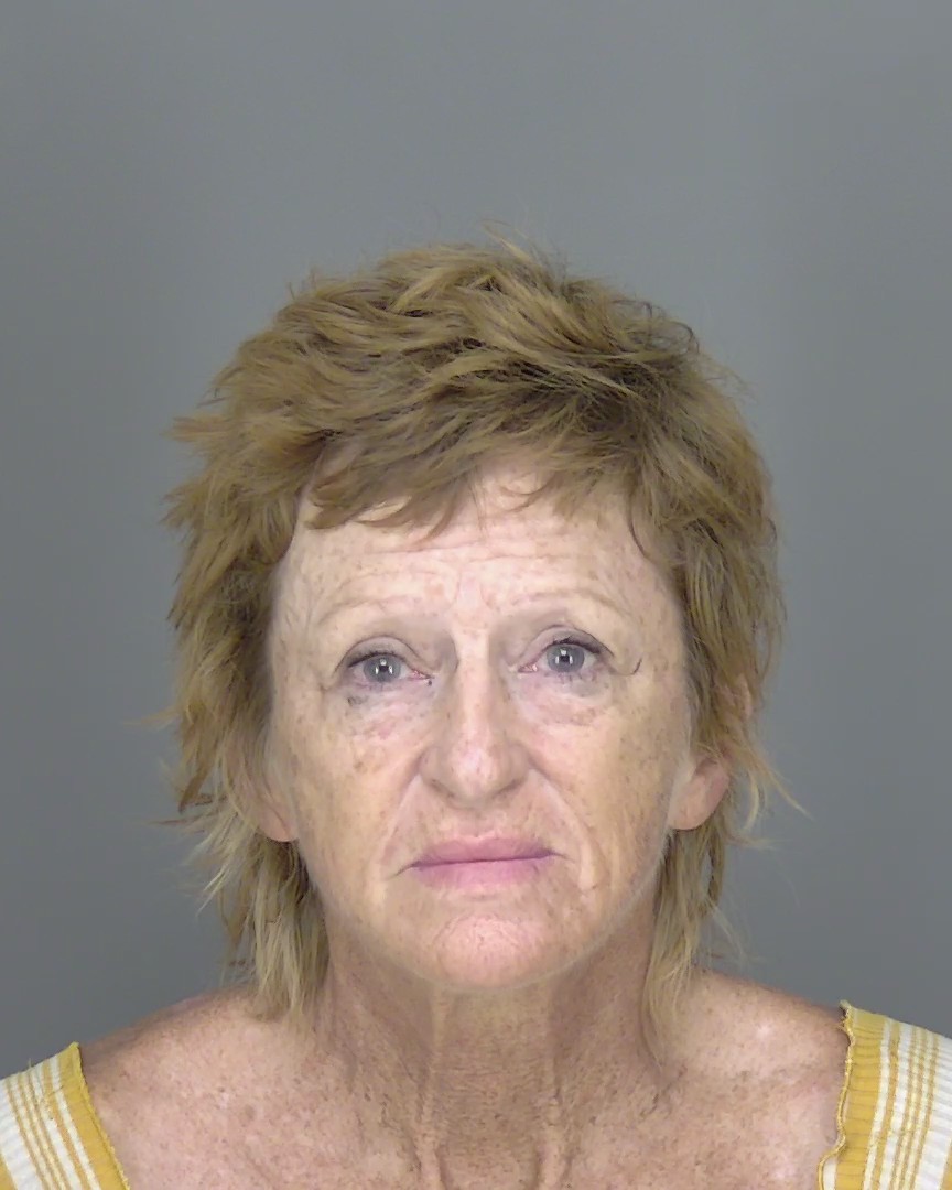 Booking photo of Jo Anne Abbott