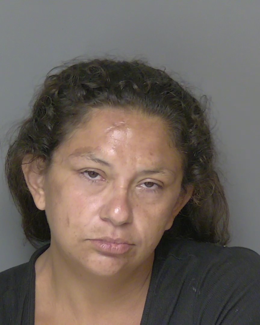 Booking photo of Ashley Carnley