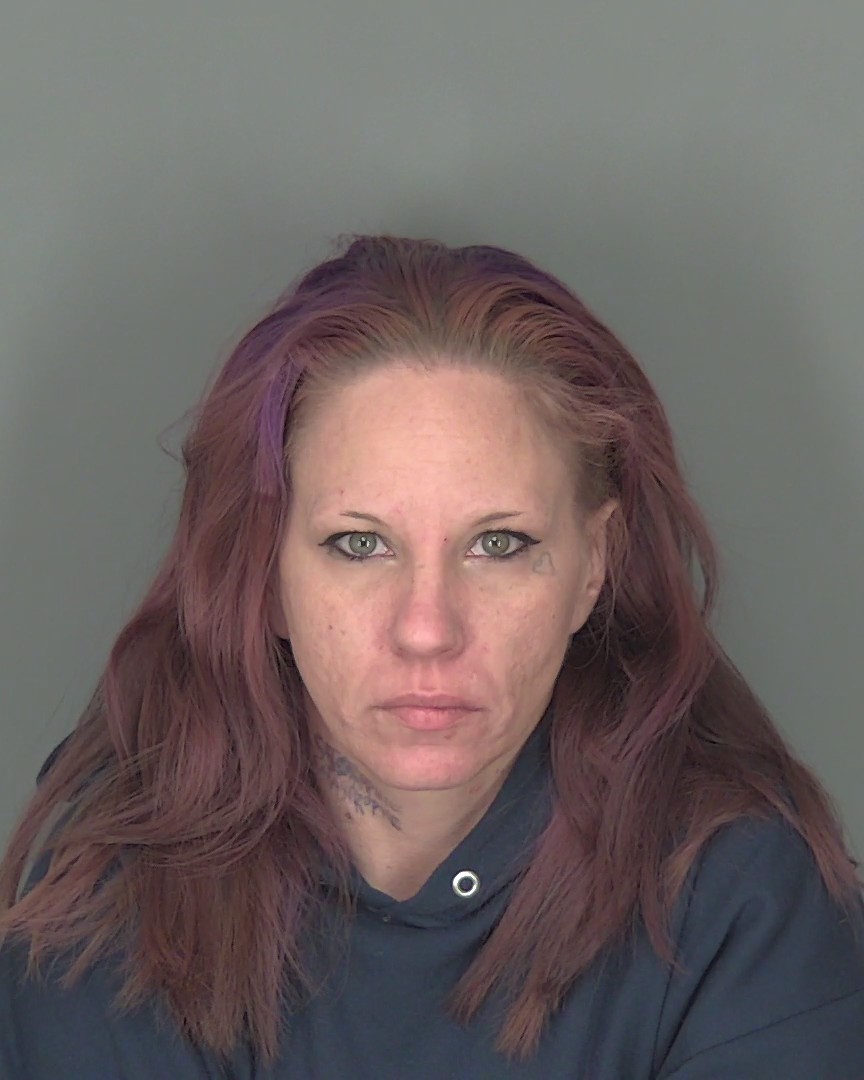 Booking photo of Charlene Bee