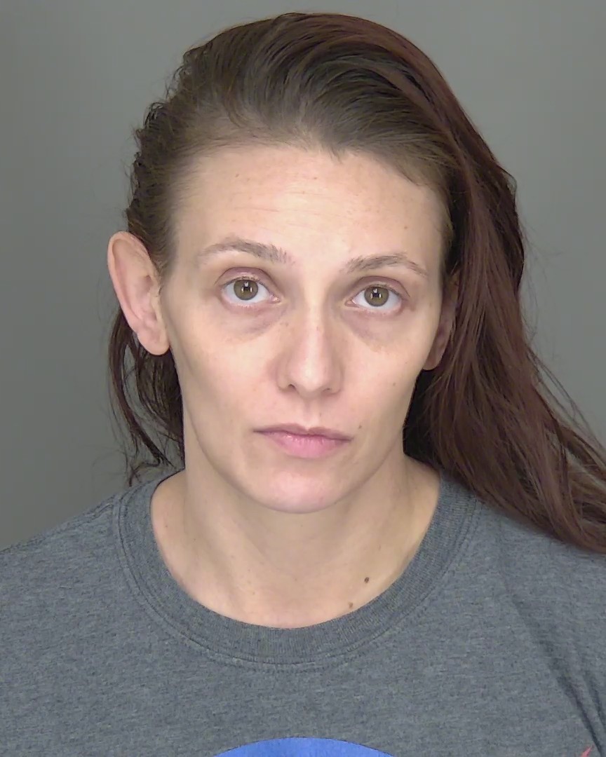 Booking photo of Paige Mcnew