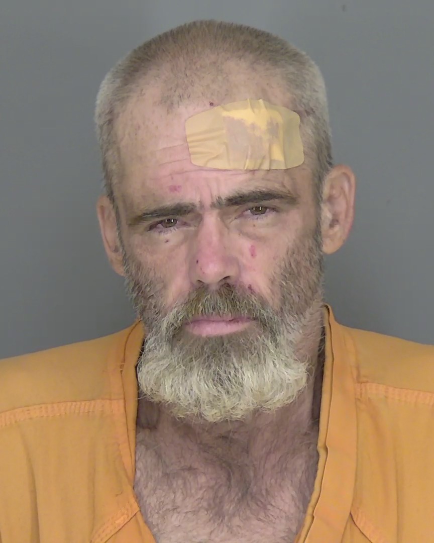 Booking photo of Timothy South