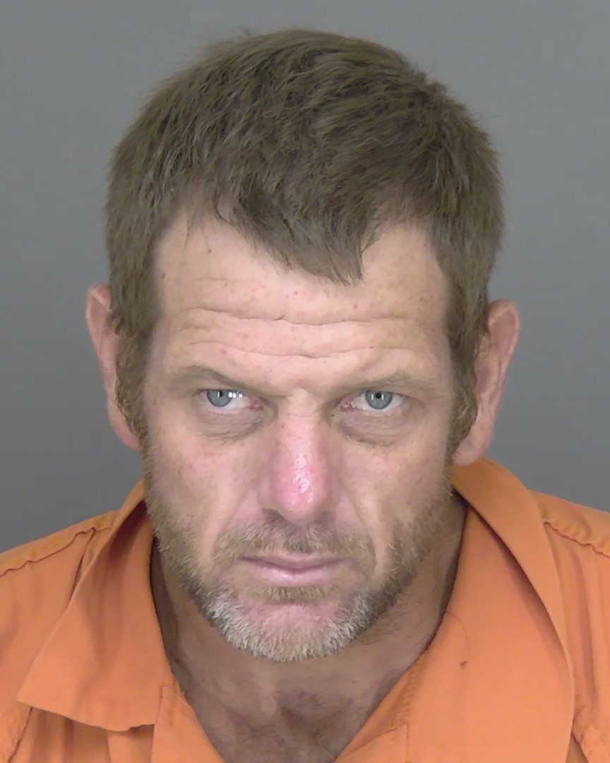 Booking photo of Ronald Palmer