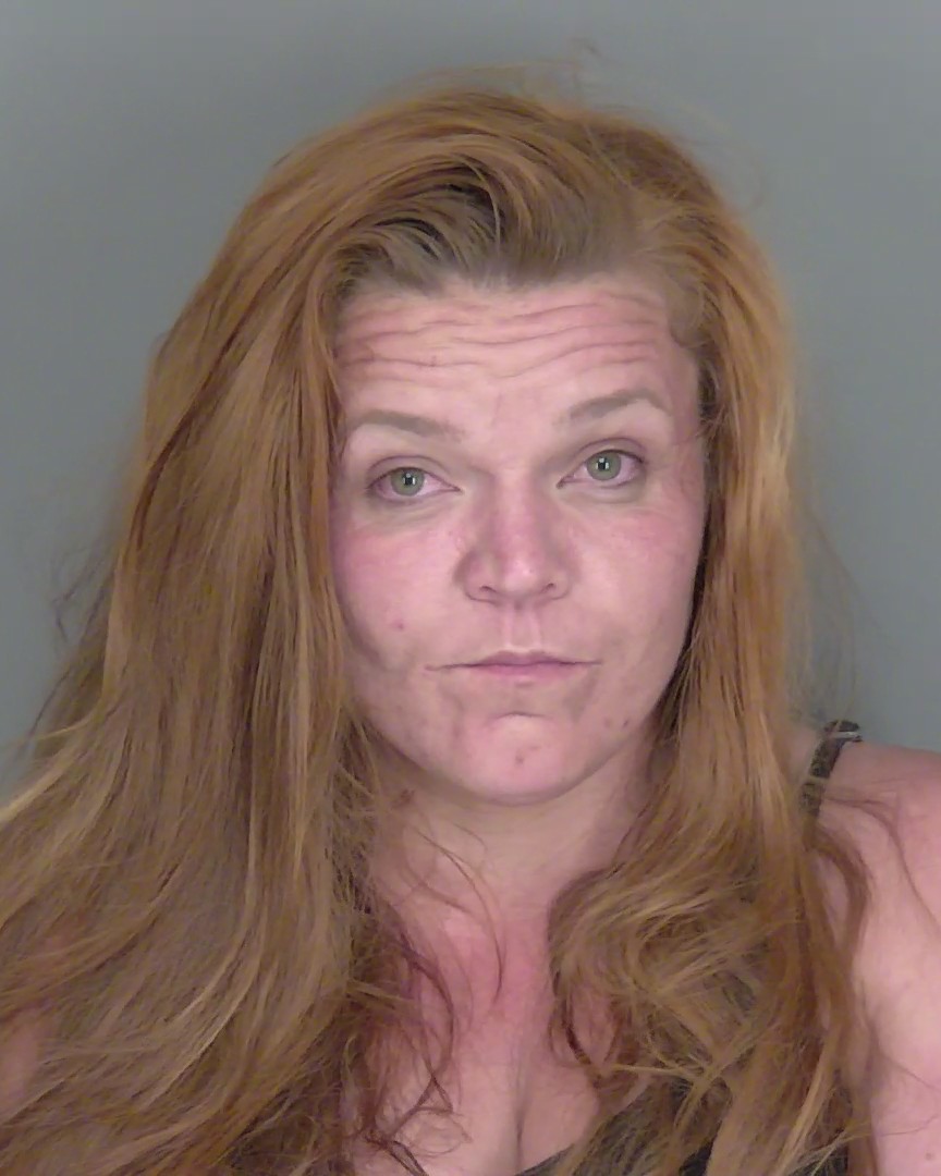 Booking photo of Robin Mcgee